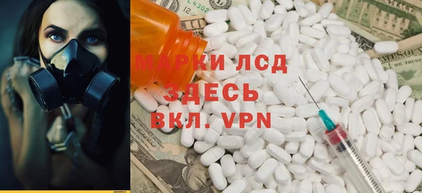 индика Медвежьегорск