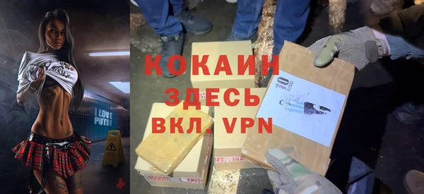 индика Медвежьегорск