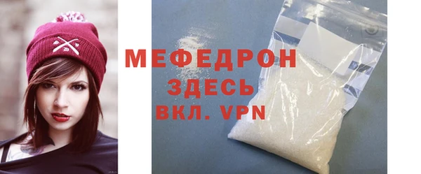 индика Медвежьегорск