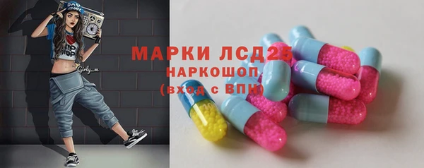индика Медвежьегорск