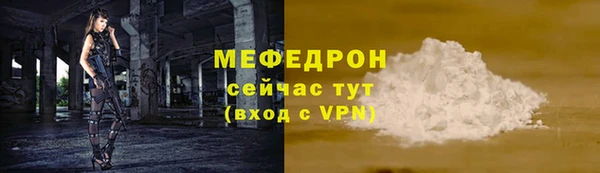 индика Медвежьегорск