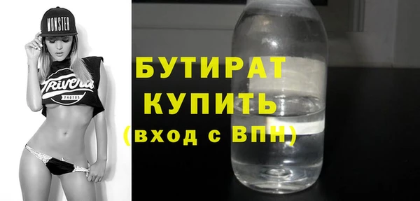 индика Медвежьегорск