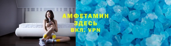 индика Медвежьегорск