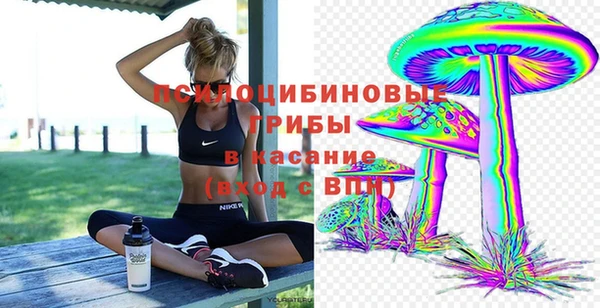 первитин Мегион