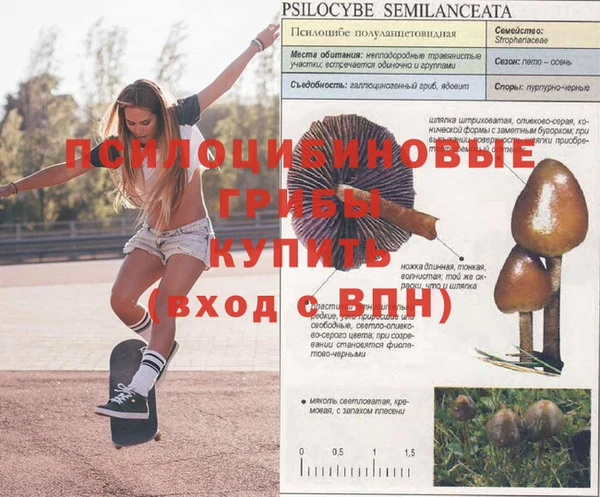 первитин Мегион