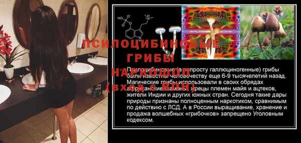 индика Медвежьегорск