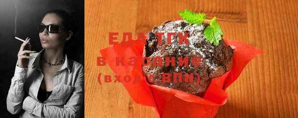 индика Медвежьегорск