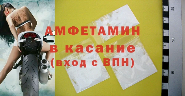 индика Медвежьегорск