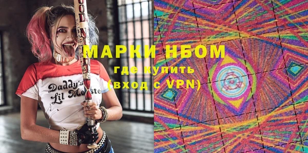 индика Медвежьегорск