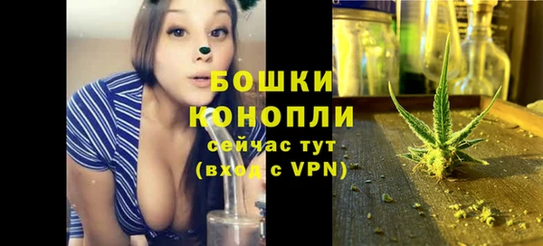 индика Медвежьегорск