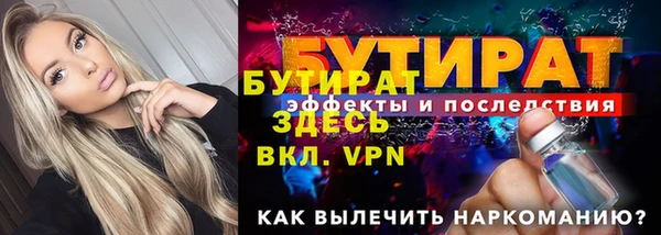 индика Медвежьегорск