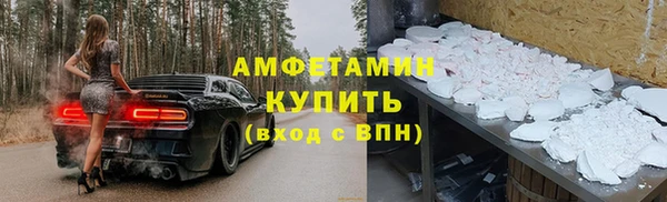 индика Медвежьегорск
