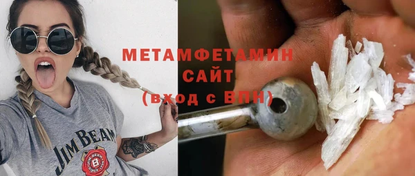 индика Медвежьегорск