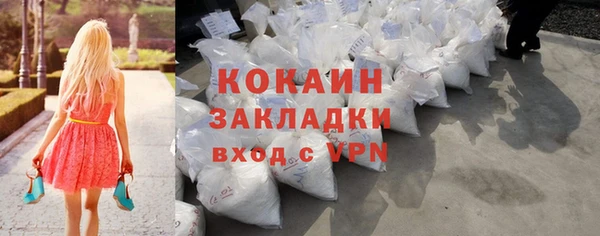 индика Медвежьегорск