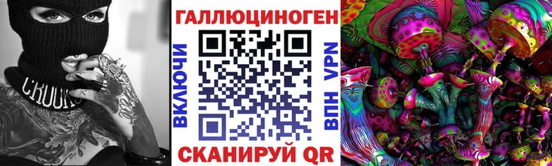 Галлюциногенные грибы Psilocybe  Покровск 